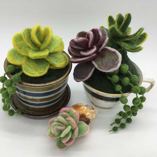 Felted succulent houseplants in clay pots