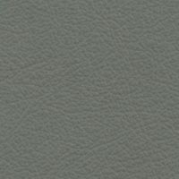 Image for option Paloma Leather - Sage Green