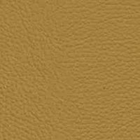 Image for option 24 LongLife Leather - Safran