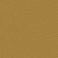 Image for option 24 LongLife Leather - Safran