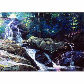 Larry Blovits: SPRUCE FLATS FALLS (Framed print)