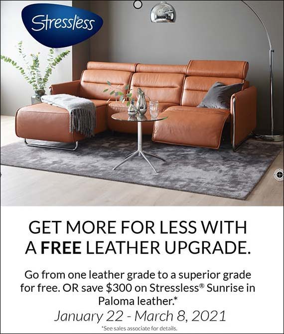 Design Quest Contemporary Furniture Store, Grand Rapids, MI