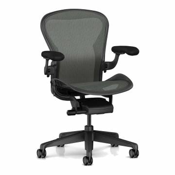 Aeron® Chair - Basic Back Support