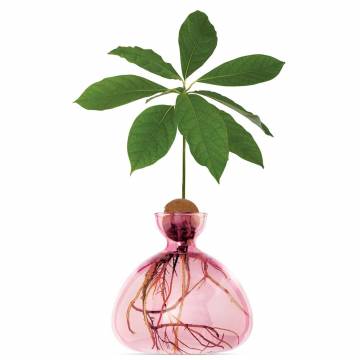 Ilex Avocado Vase