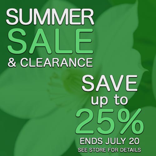 Summer Sale
