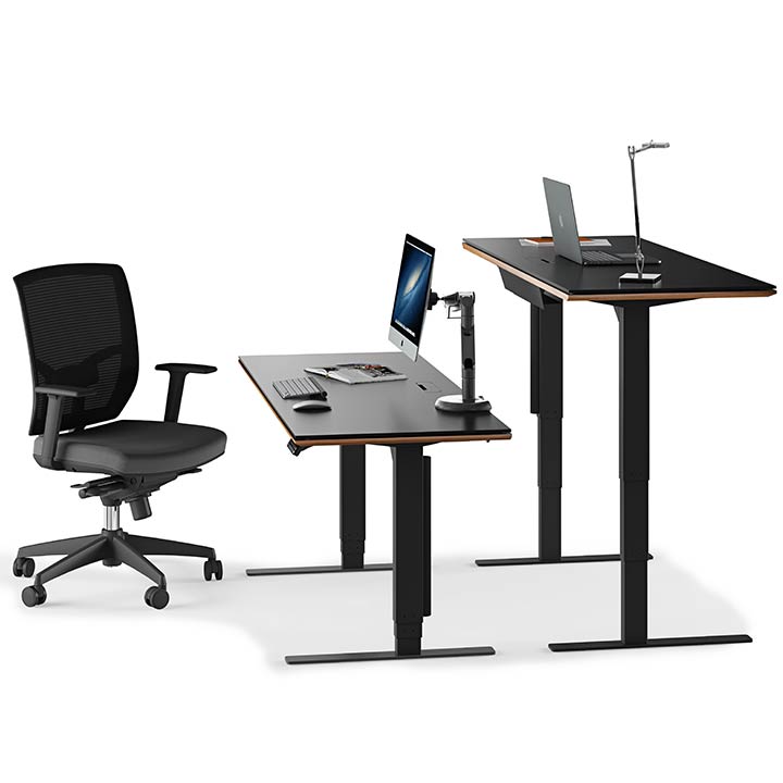 Standing desk 60 x 24 online