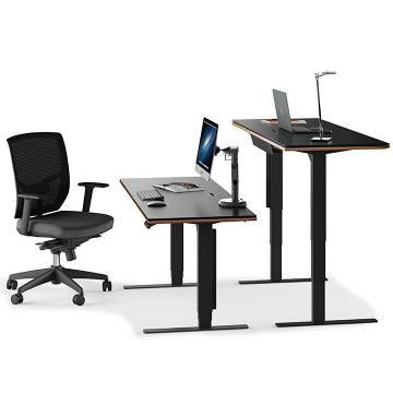 BDI Sequel 20 - 6151 Lift Standing Desk (60