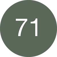 Image for option 71 Olive Green