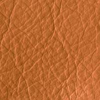 Image for option Leather - Cognac