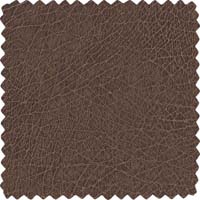 Image for option Polyurethane - EA - Amazon