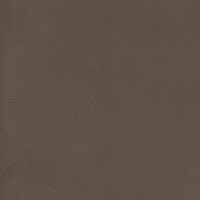 Image for option Velaro Leather - Mole