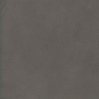 Image for option Velaro Leather - Grey