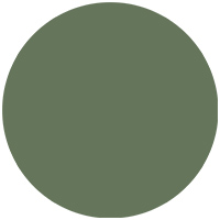 Image for option Olive Green