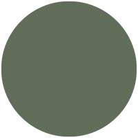 Image for option Olive Green
