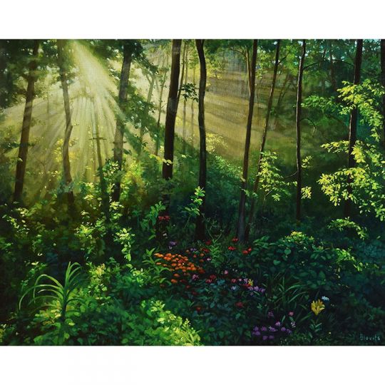 Larry Blovits Let There Be Light Framed Design Quest