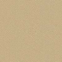 Image for option Polyurethane - MC - Camel
