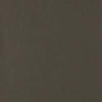 Image for option Ctgy 9 - 2111 Graphite
