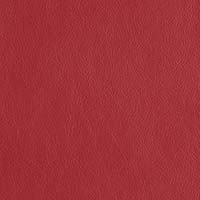 Image for option Ctgy 9 - 2120 Cranberry