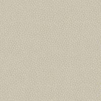 Image for option Ctgy 11 - INX03 Essence