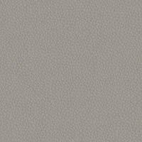Image for option Ctgy 11 - INX04 Script