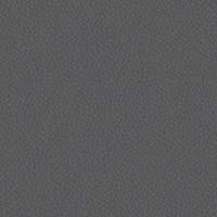 Image for option Ctgy 11 - INX05 Gambit