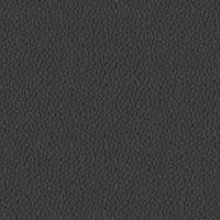 Image for option Ctgy 11 - INX06 Obsidian