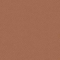 Image for option Ctgy 11 - INX17 Ledge