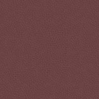 Image for option Ctgy 11 - INX19 Mantra