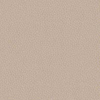 Image for option Ctgy 11 - INX21 Lute
