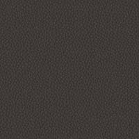 Image for option Ctgy 11 - INX23 Hickory