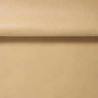 Image for option Leather 4050 - Golden Sand
