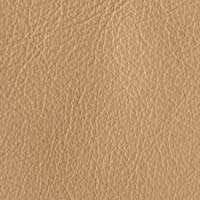 Image for option Leather - Sand