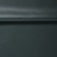 Image for option Leather 5454 - Sydney Green