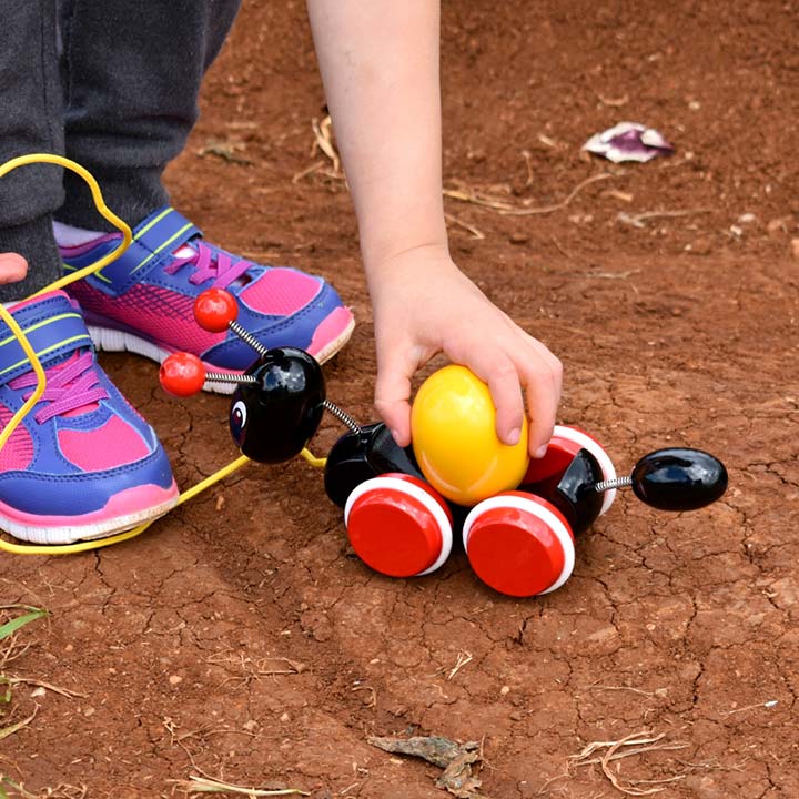 Brio Ant with Rolling Egg Design Quest