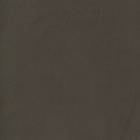 Image for option Velaro Leather - Forest Green
