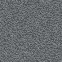 Image for option Cori Leather - Grey