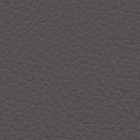 Image for option Noblesse Leather - Grey