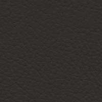 Image for option Noblesse Leather - Black