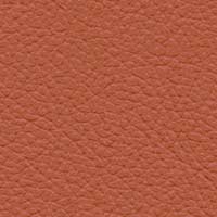 Image for option Noblesse Leather - Tigereye