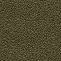 Image for option Paloma Leather - Dark Olive