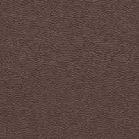 Image for option Paloma Leather - Espresso