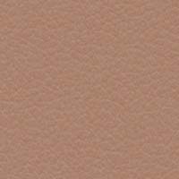 Image for option Paloma Leather - Funghi