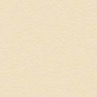 Image for option Paloma Leather - Light Grey