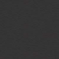 Image for option Paloma Leather - Black