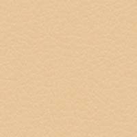 Image for option Paloma Leather - Beige