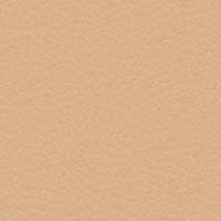 Image for option Paloma Leather - Sand