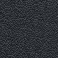 Image for option Paloma Leather - Shadow Blue
