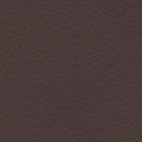 Image for option Paloma Leather - Chocolate