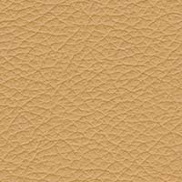 Image for option Paloma Leather - Honey