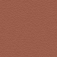 Image for option Paloma Leather - Copper